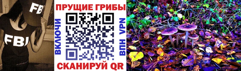 Псилоцибиновые грибы Cubensis  Губкинский 